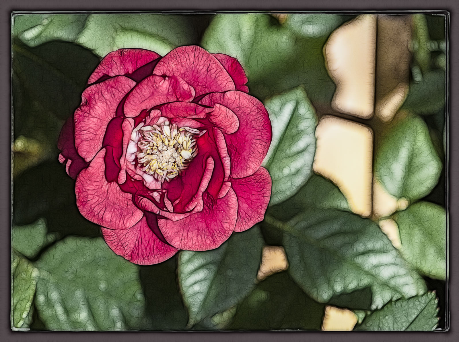 fractalius rose