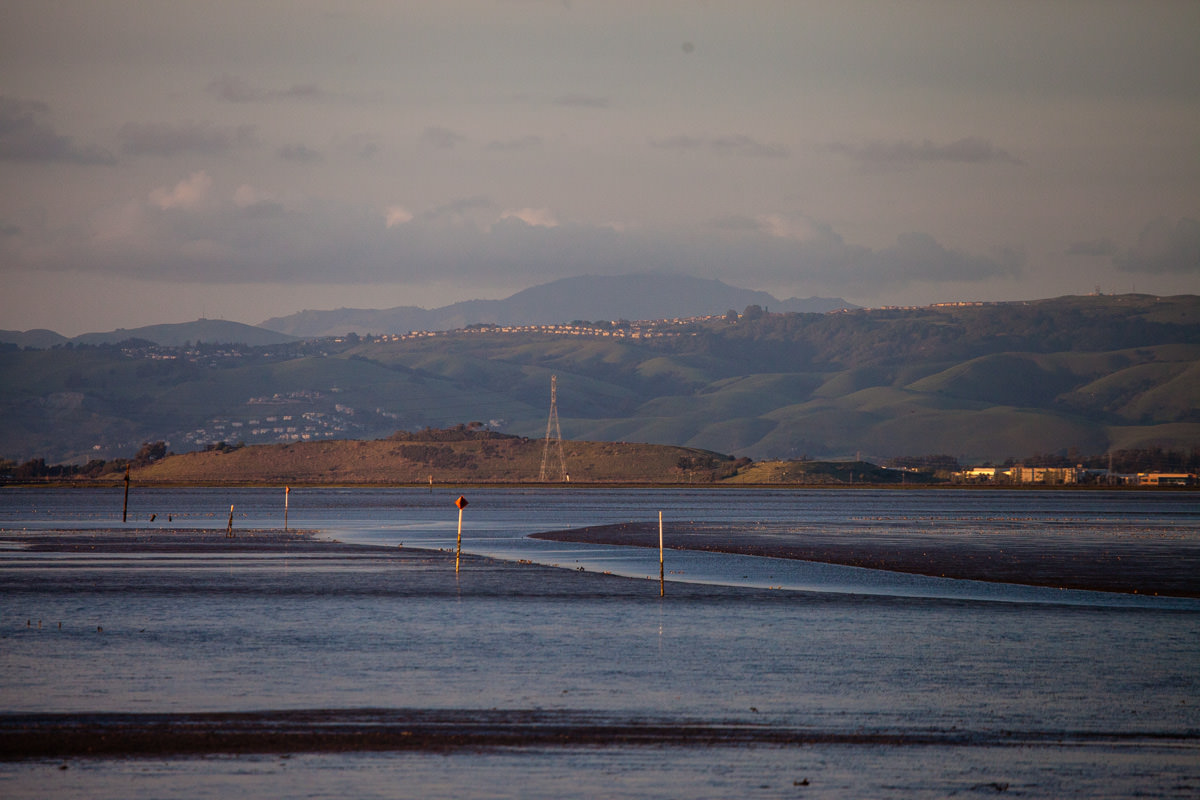 Baylands Park