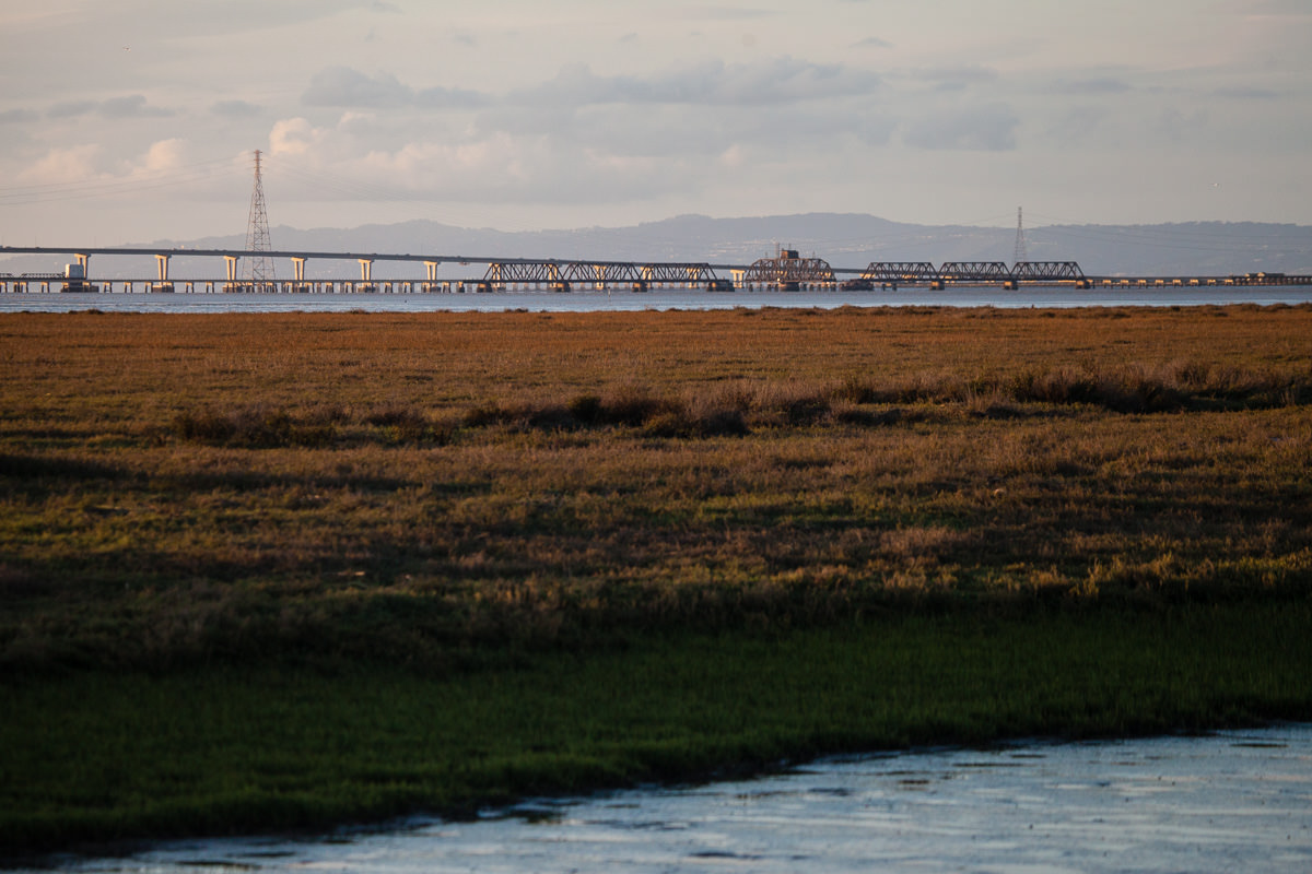 Baylands Park