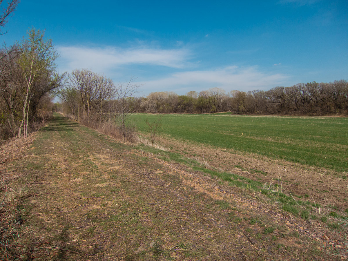 Kansas spring