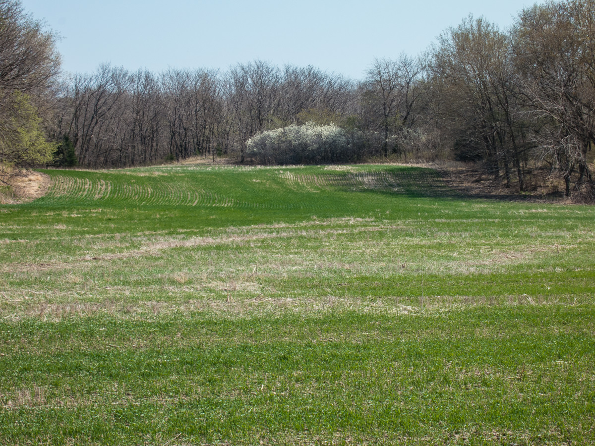 Kansas spring