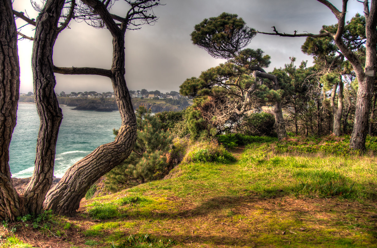 Mendocino Coast