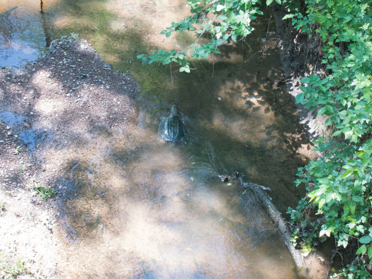 Memorial Day around Lindsborg