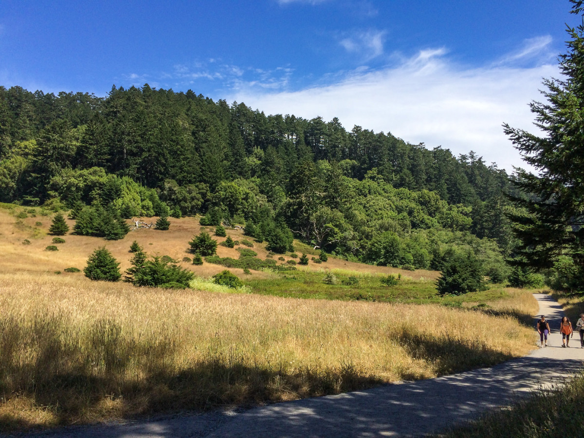 Pt Reyes trail