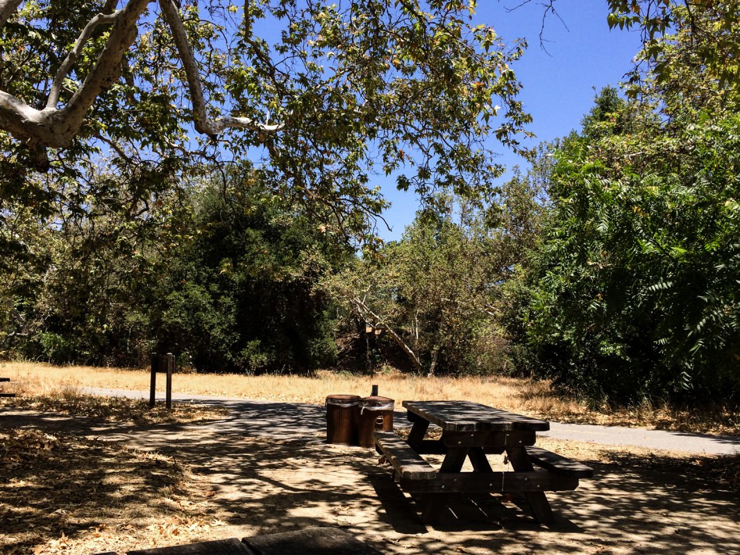 Rest area along the Coyote Creek trail