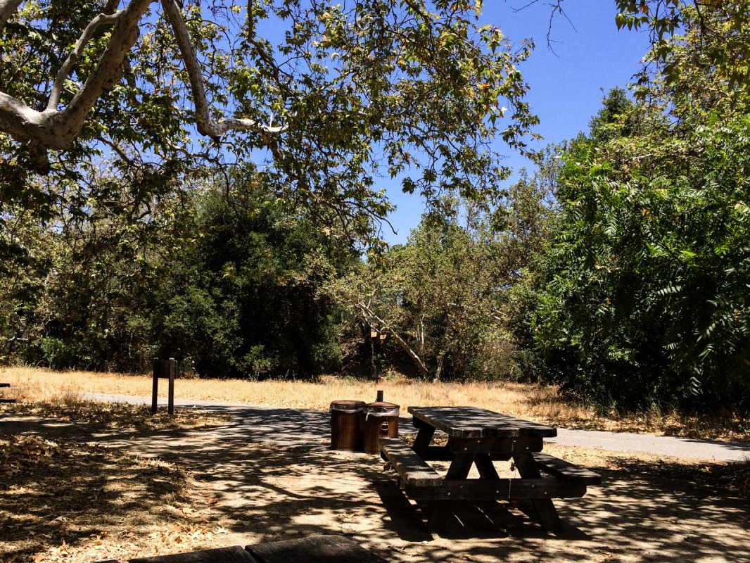 View from Trail Rest Area