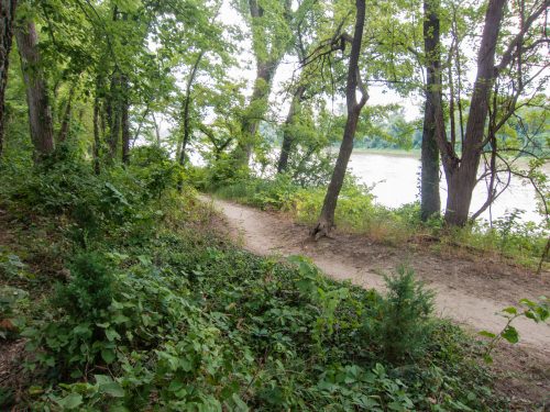 Lawrence River Trails