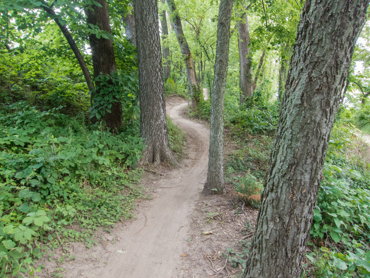 Lawrence River Trails