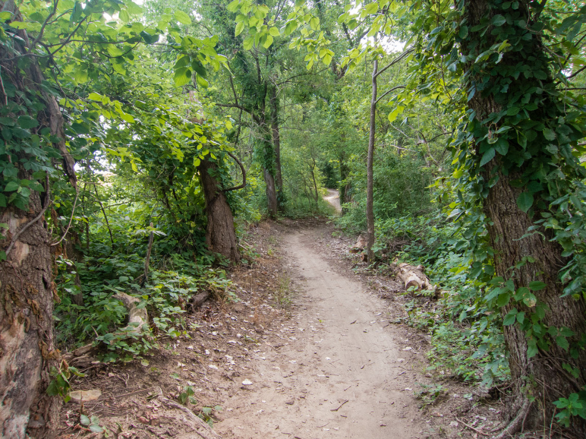 Lawrence River Trails