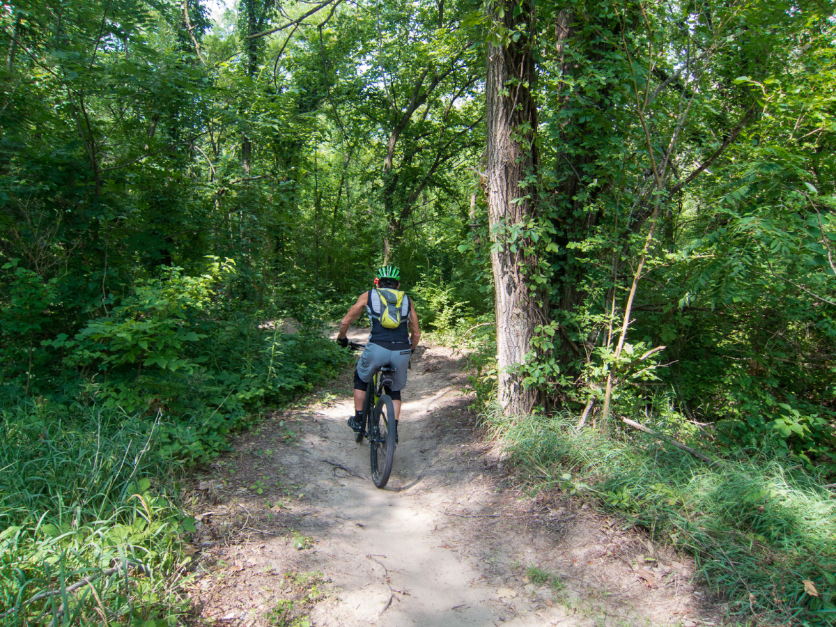 Lawrence River Trails