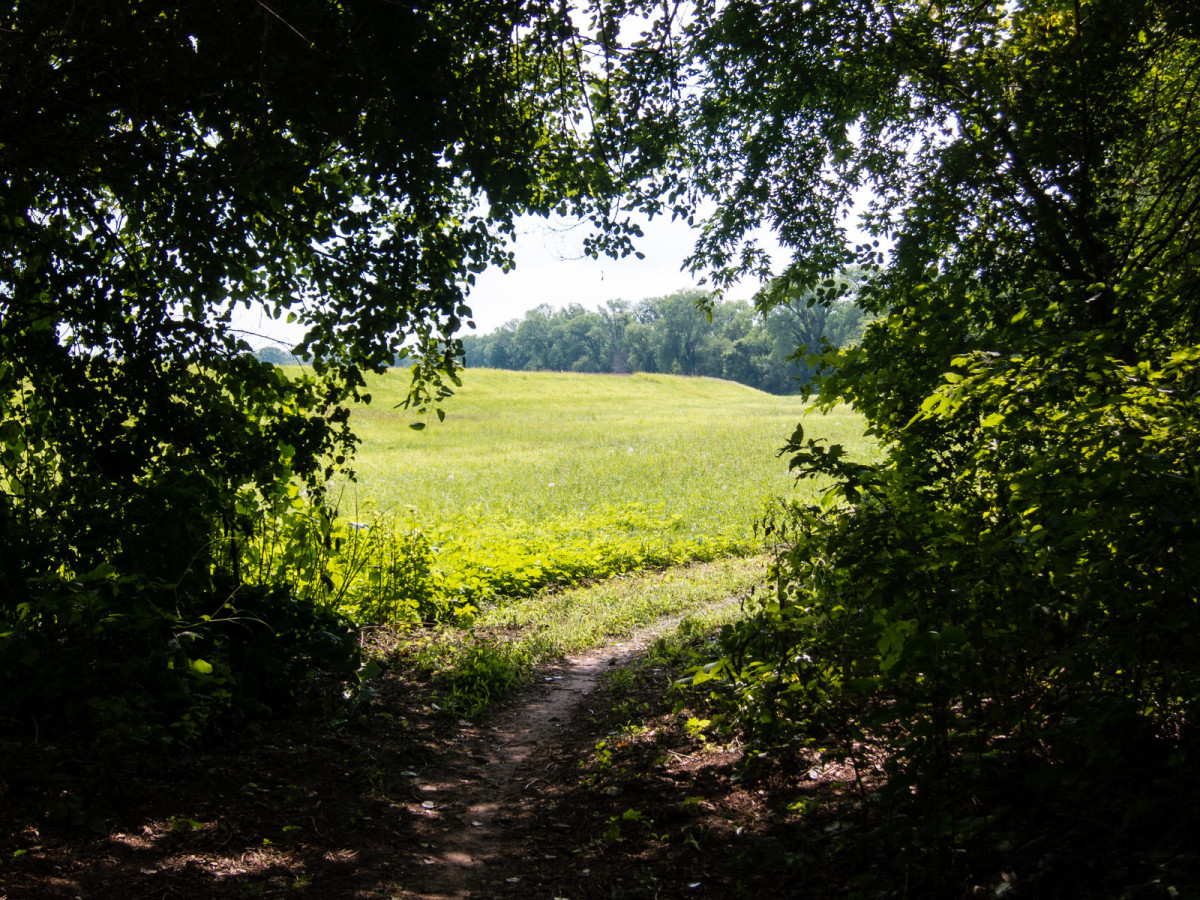 Lawrence River Trails