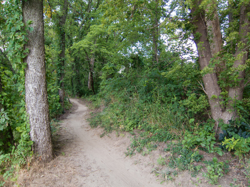 Lawrence River Trails