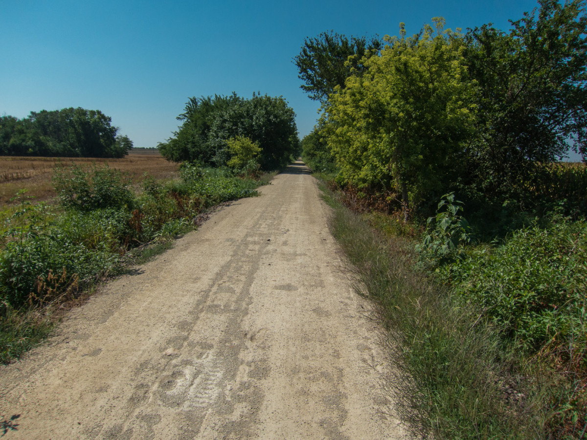 Meadowlark Trail
