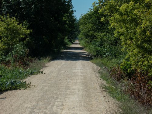 Meadowlark Trail
