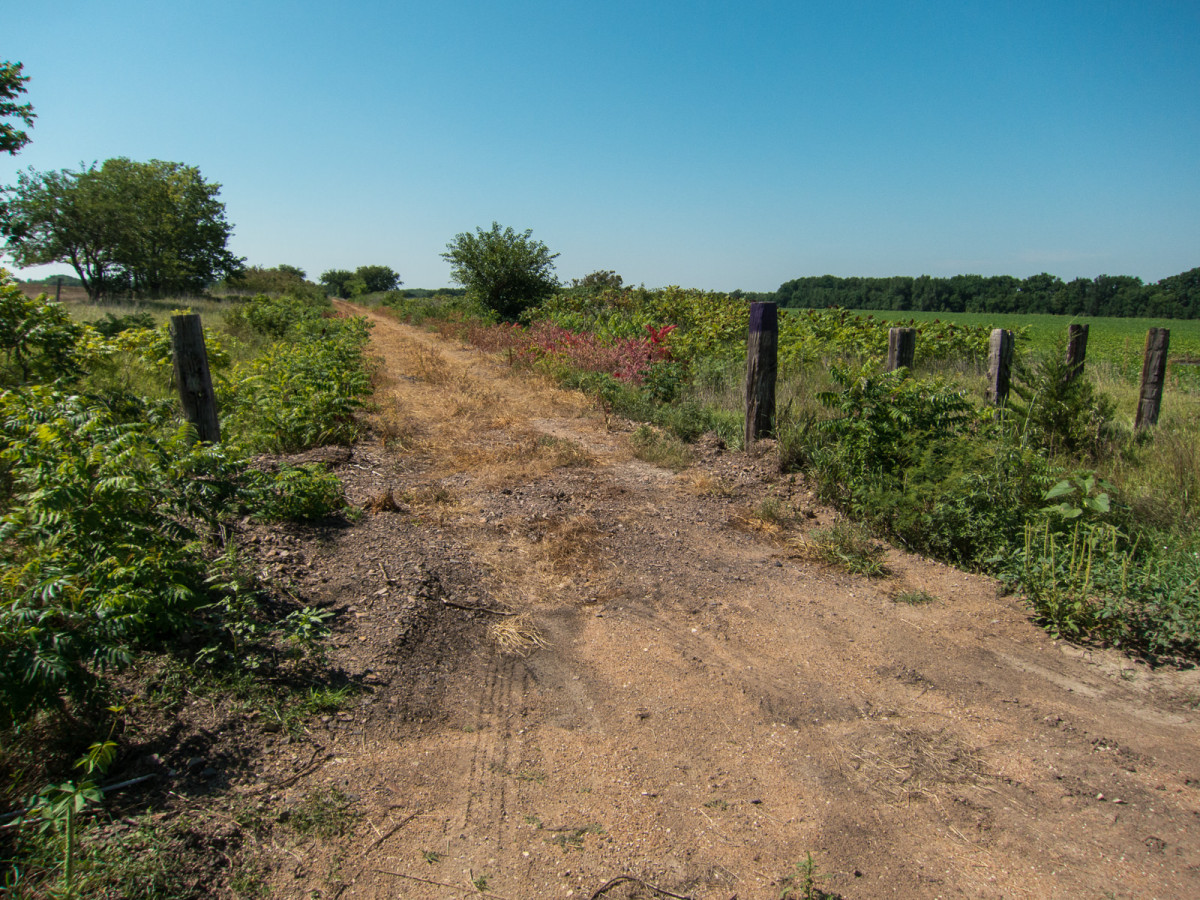 Meadowlark Trail