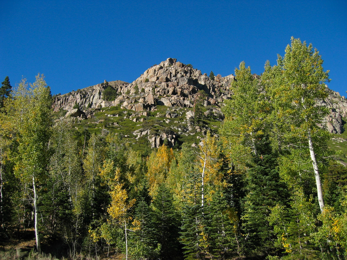 Sierra Nevada