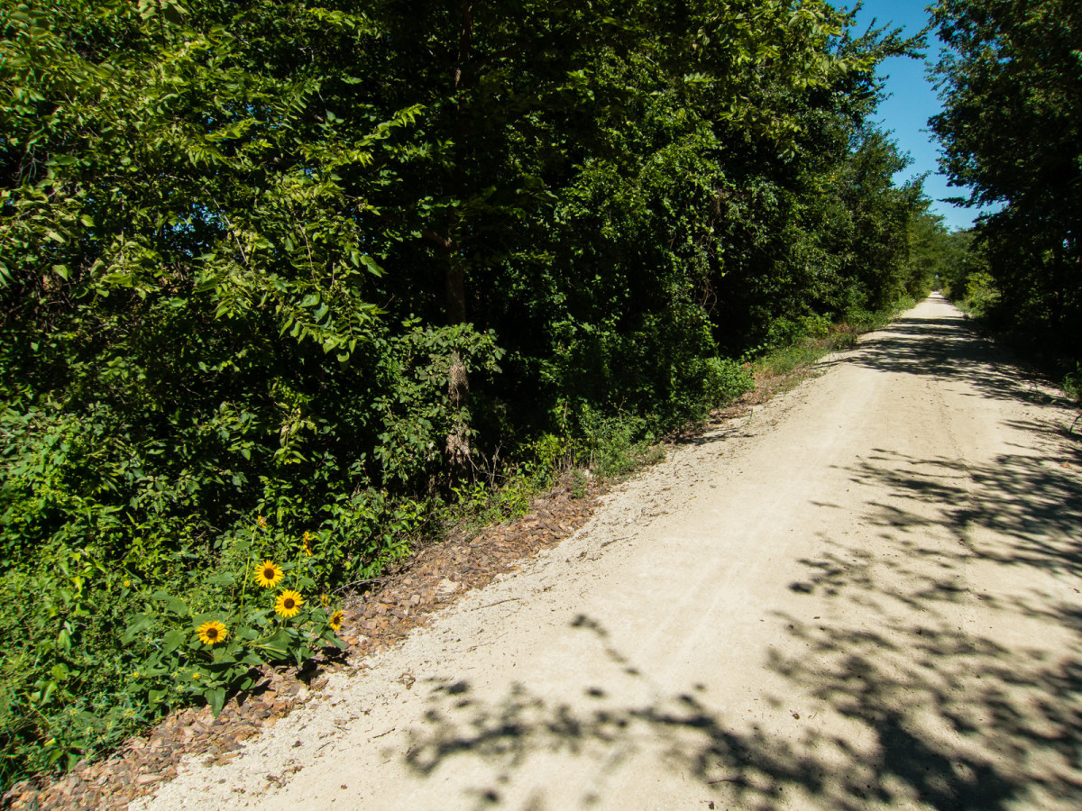 Meadowlark Trail