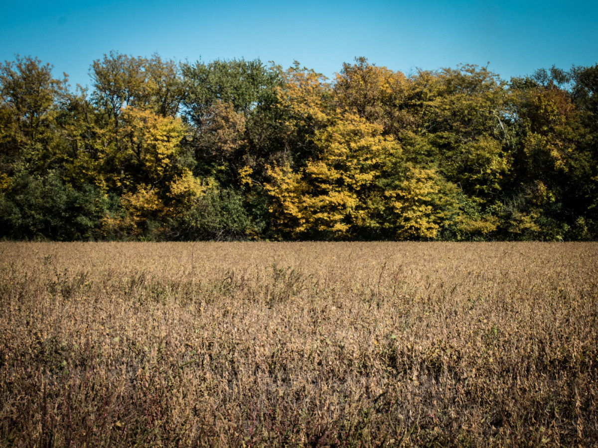 Kansas Fall Colors
