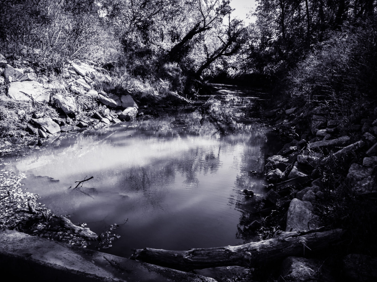 The Dark Lagoon