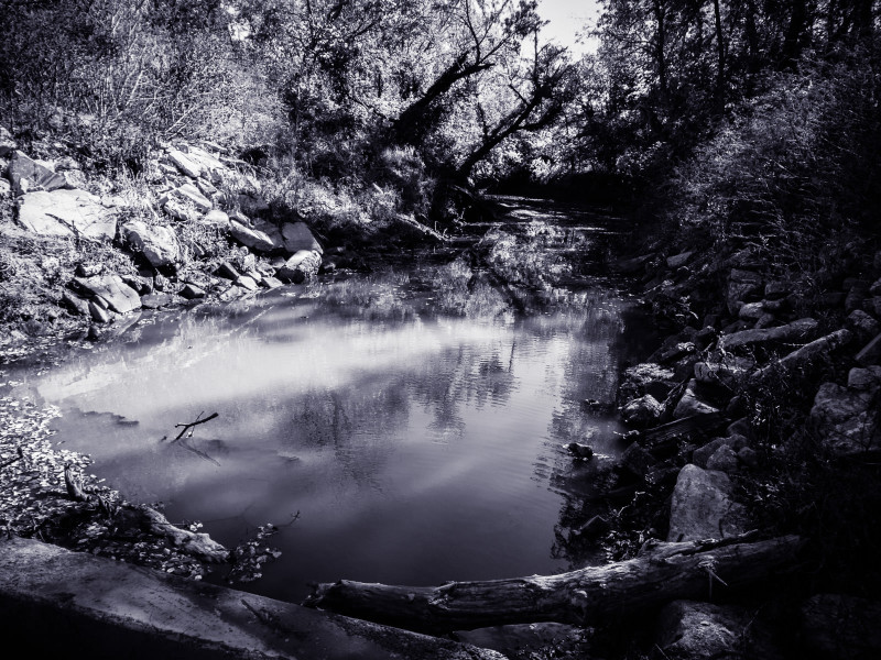 The Dark Lagoon