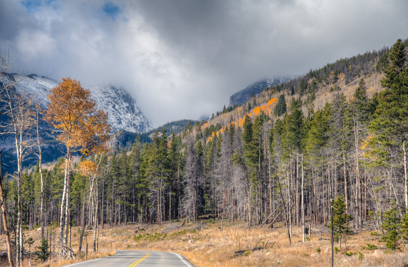 Rocky Mt National Park