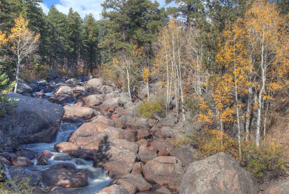 Colorado Mt Stream