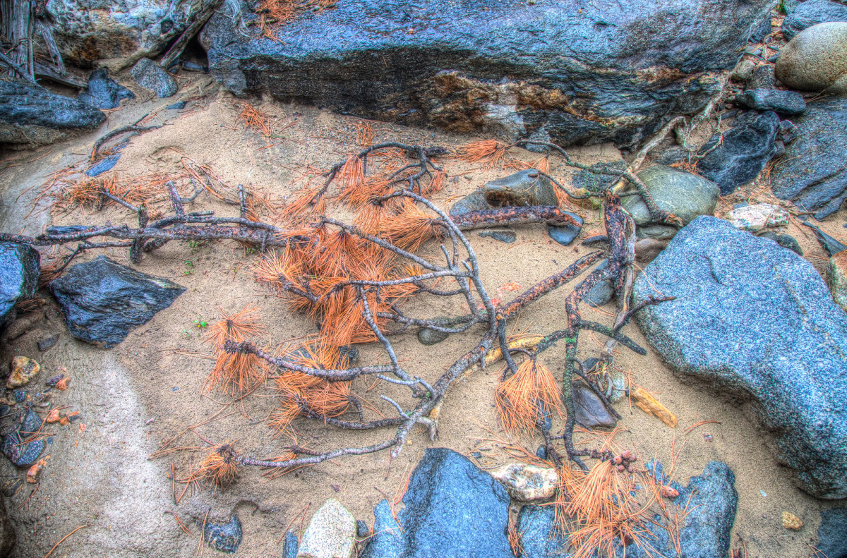 Natural Pattern