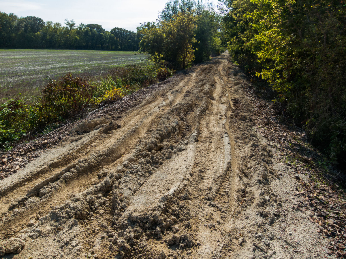 Meadowlark Trail: deep ruts