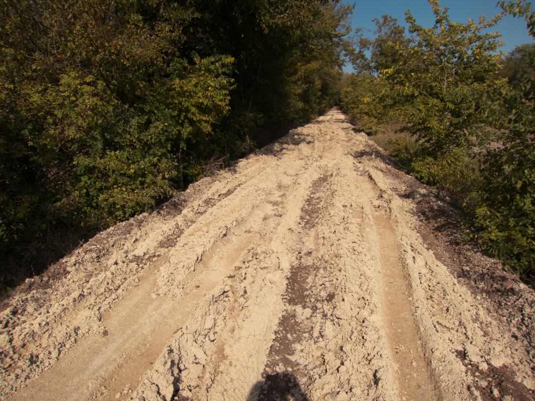 Meadowlark Trail: deep ruts