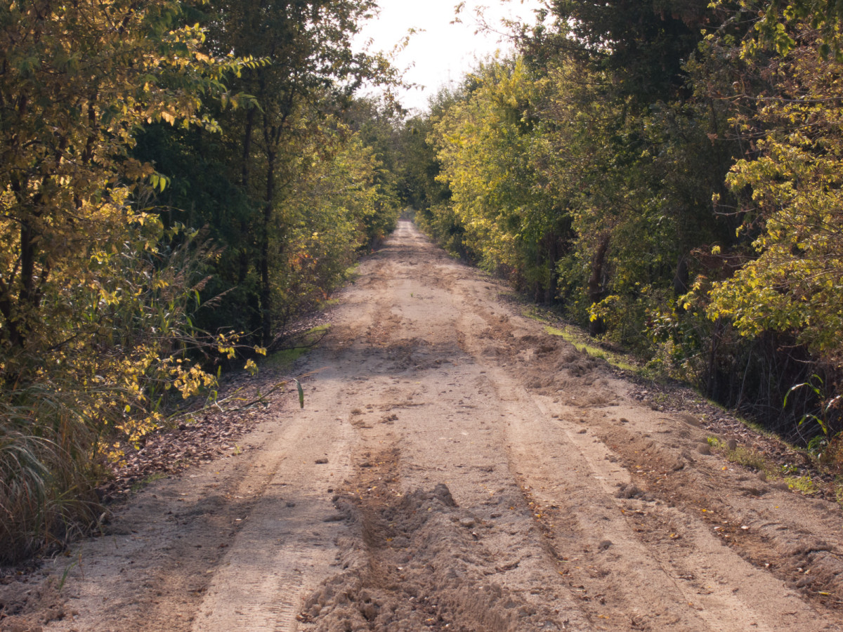 Meadowlark Trail: pastoral view