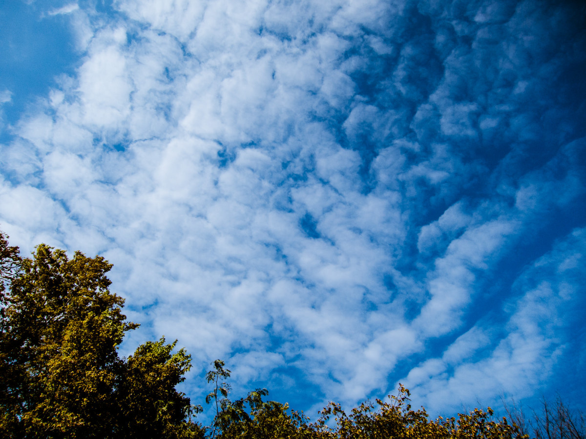 Meadowlark Trail: awesome skies