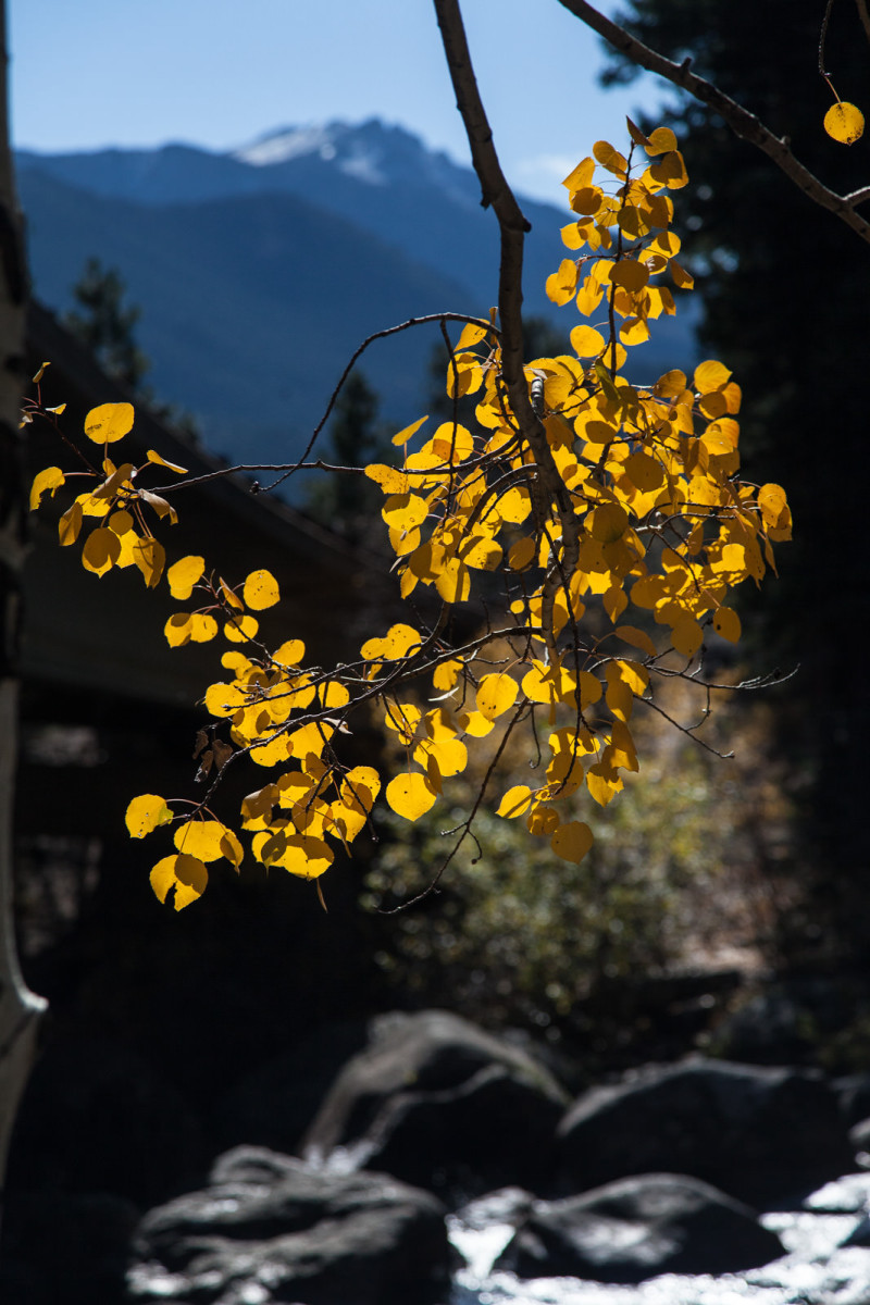 2014 Favorites: Fall in the Rockies