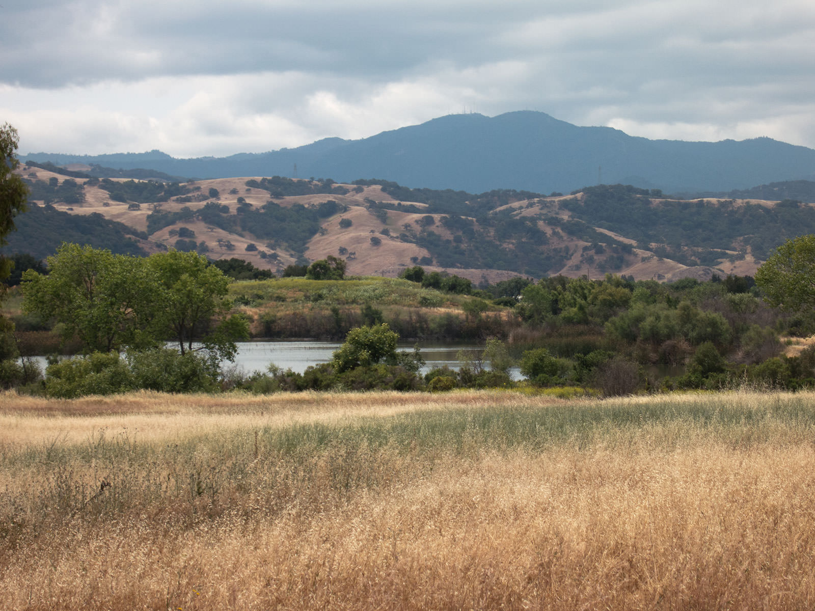 Coyote Valley Ride