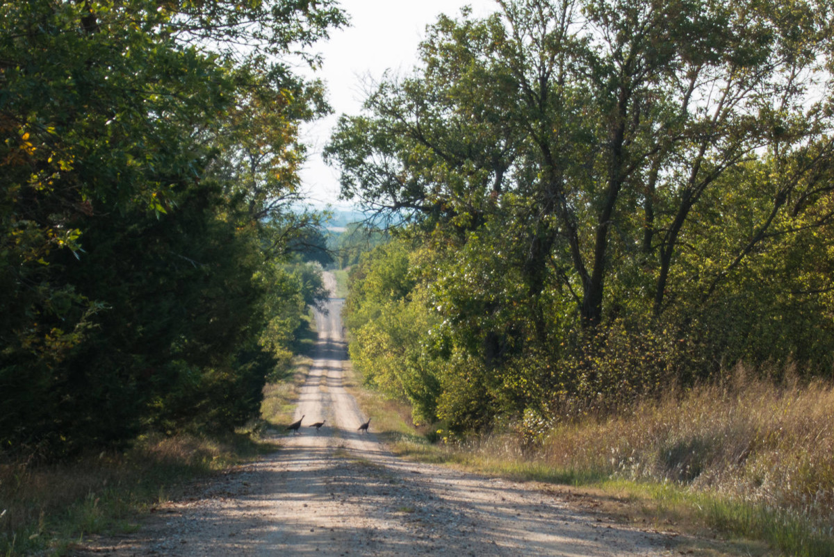 September Country Ramble