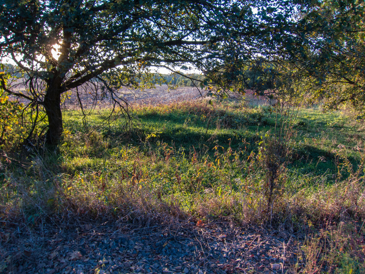 Scenes from a Bike