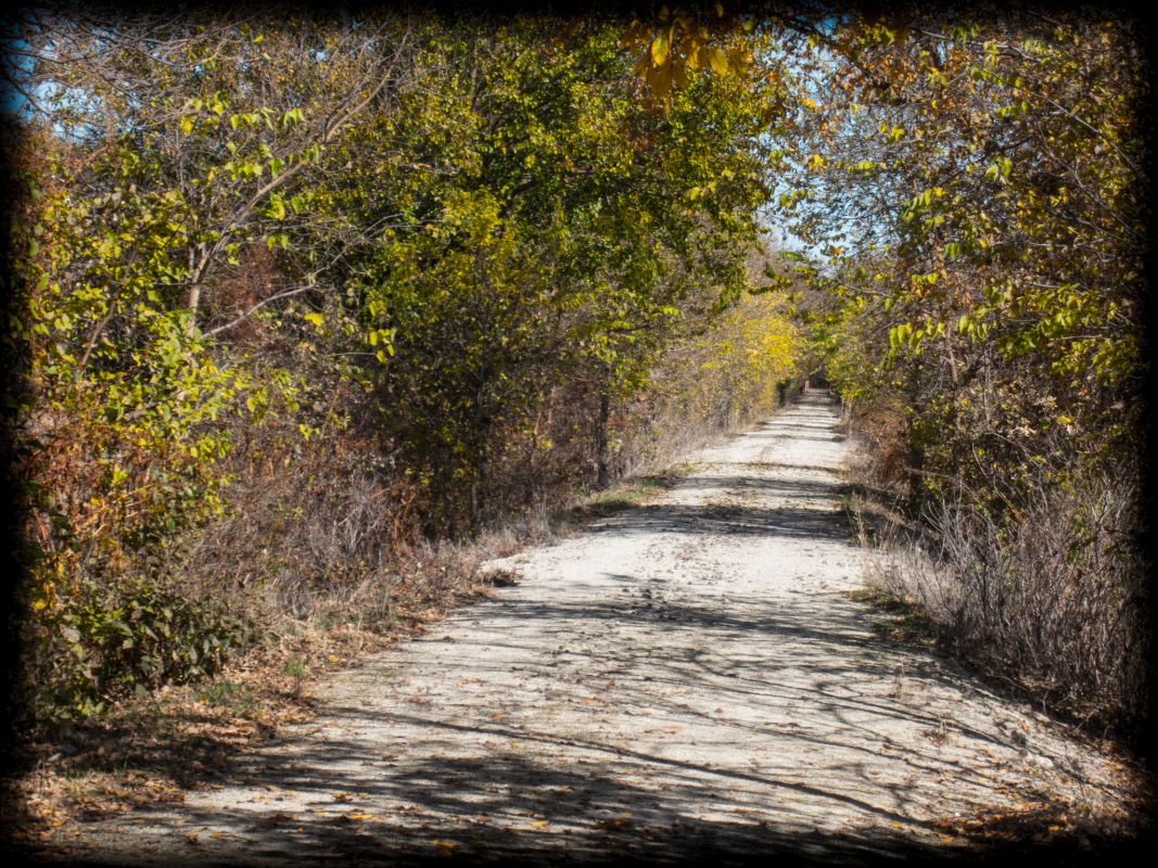 Meadowlark Trail Ride