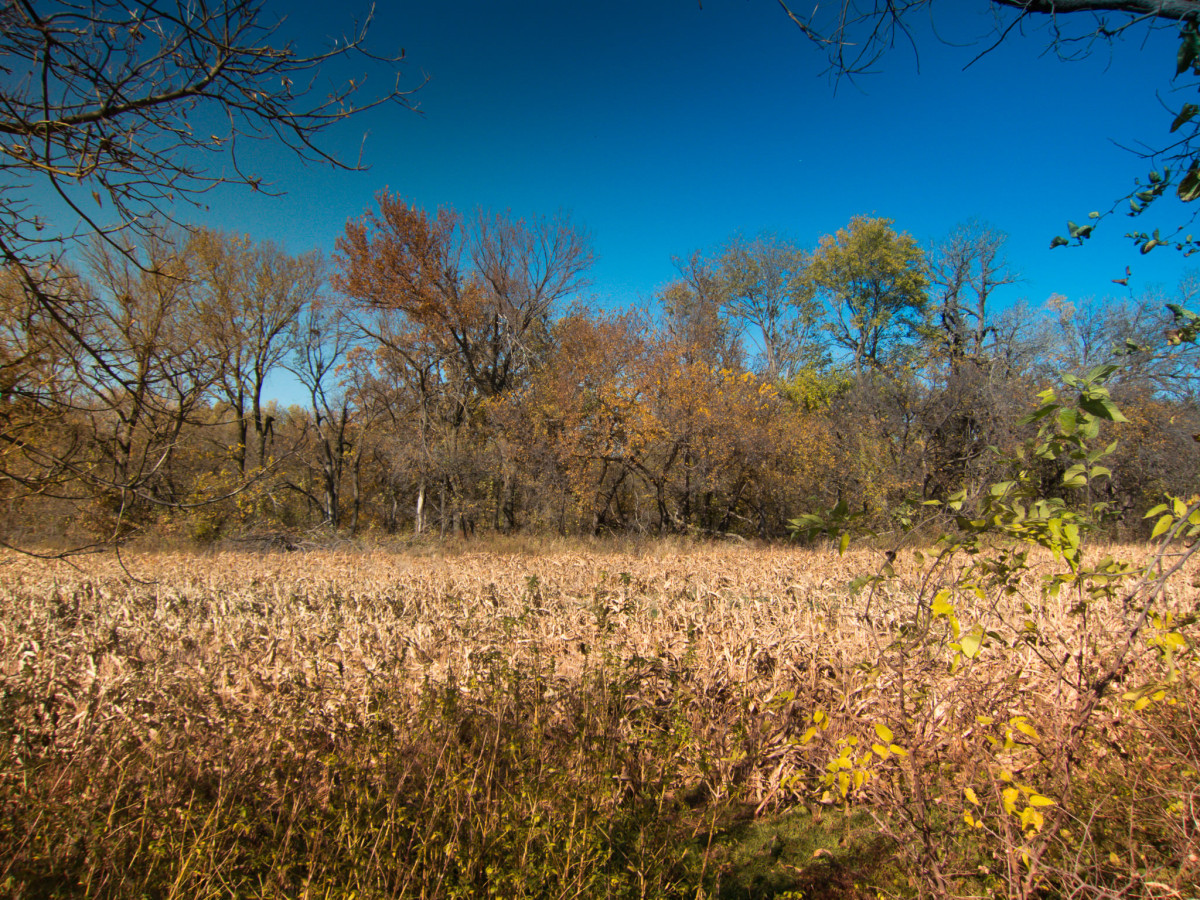 Meadowlark Trail Ride