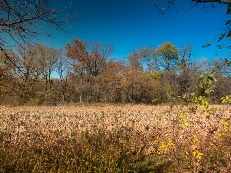 Meadowlark Trail Ride