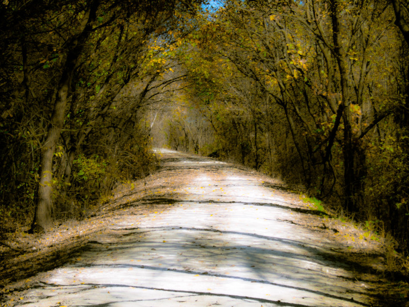 Meadowlark Trail Ride