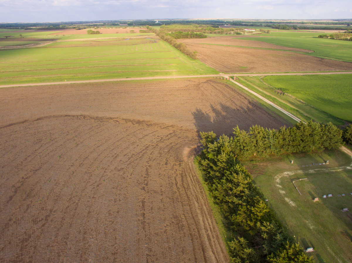 Above Rosehill Cemetery