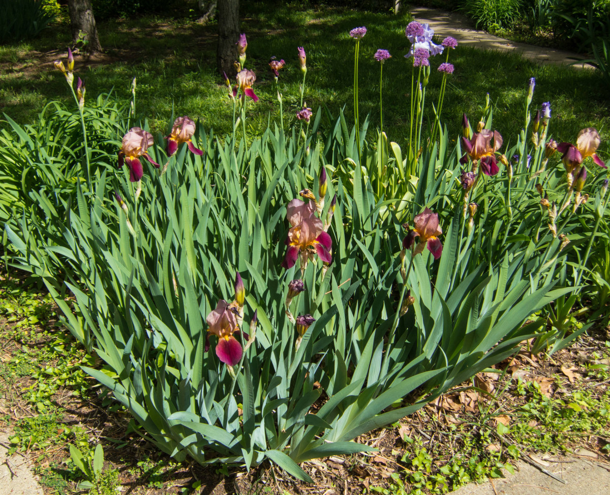 Spring Day in Lindsborg