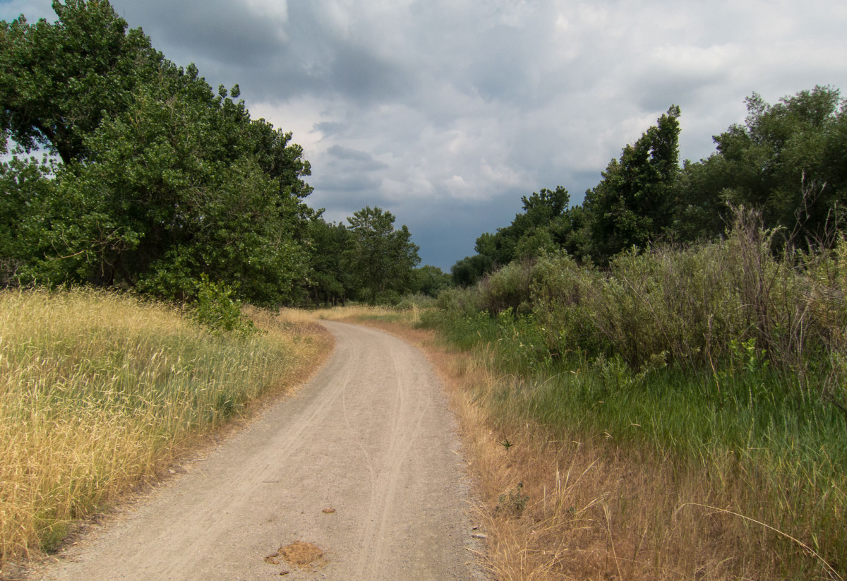 Sand Creek Trail, Aurora, CO