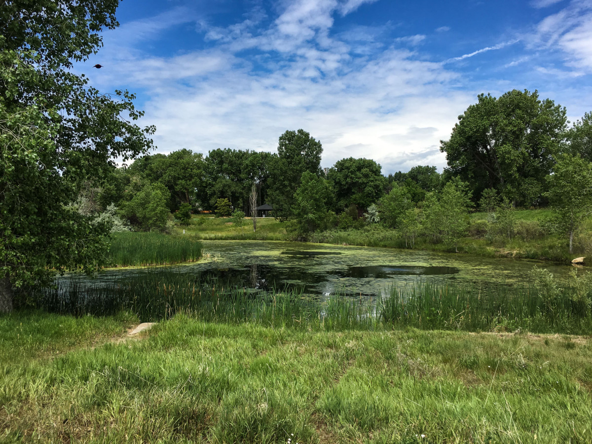 View from Louisville CO Bike Trails