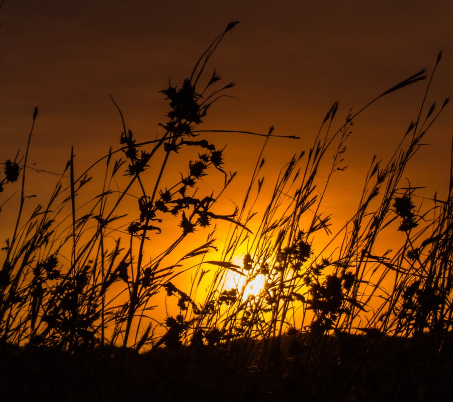 Sunset on the Meadowlark Trail