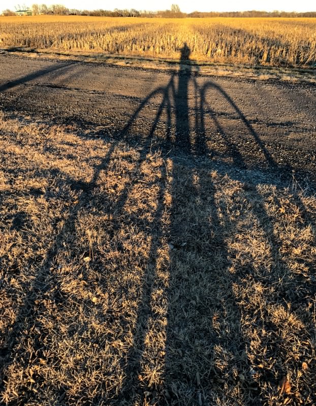 Long Shadow at the end of a Long Year
