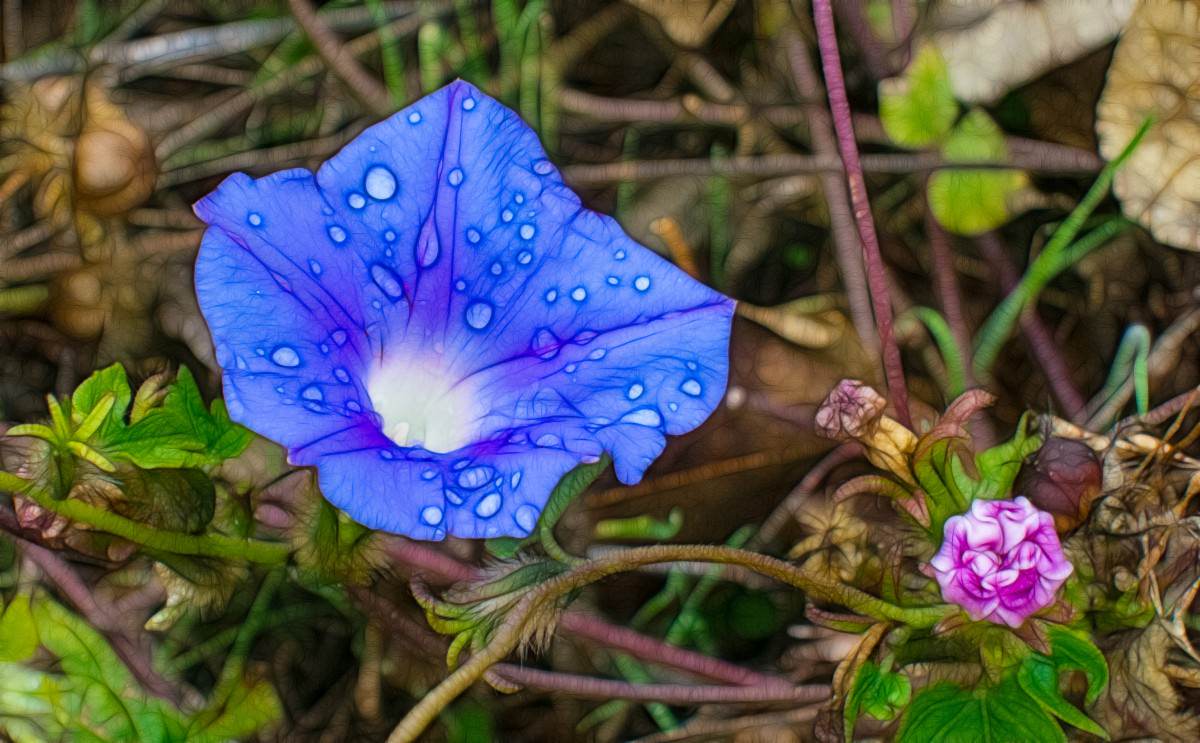 Delicate, fractalized flower