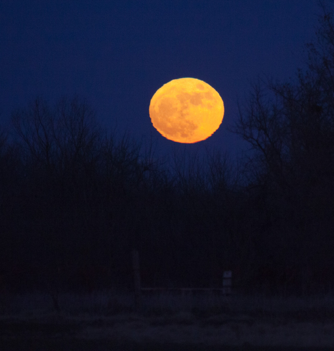 Awesome Moon!