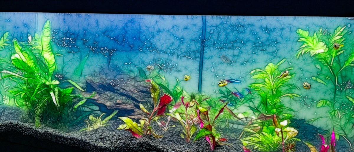 20 Gallon Planted Tank (fractalized)