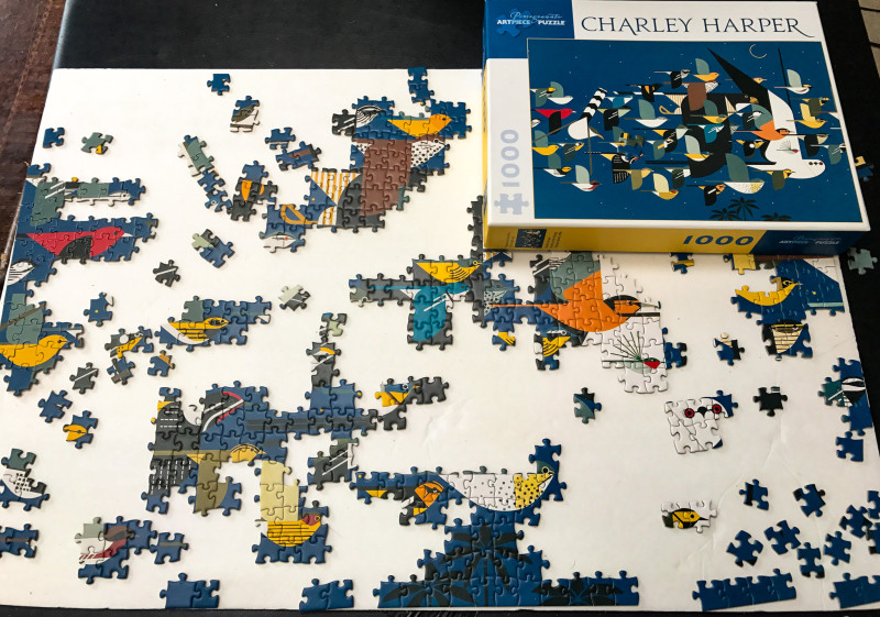 Charles Harper Mystery of the Missing Migrants