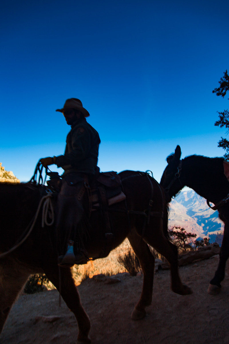 2017 Favorites: Grand Canyon Riders